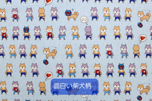  第12張的照片