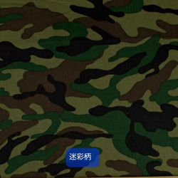  第16張的照片
