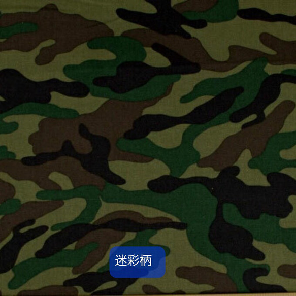  第16張的照片