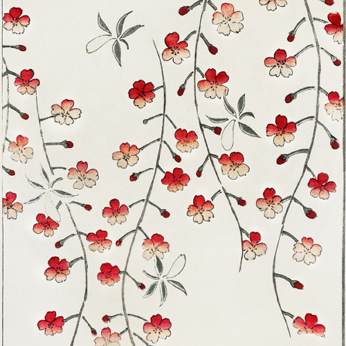 NO.480】桜の花日本画アートポスター和モダン大正ロマン昭和