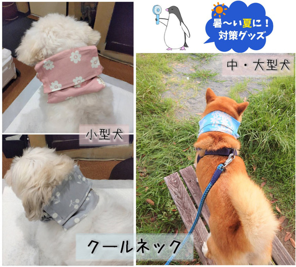 【選べる生地】名入れ刺繍　クールネック  ひんやり 保冷剤入れ【小型犬用】ネッククーラー 首元 暑さ対策 熱中症対策 5枚目の画像