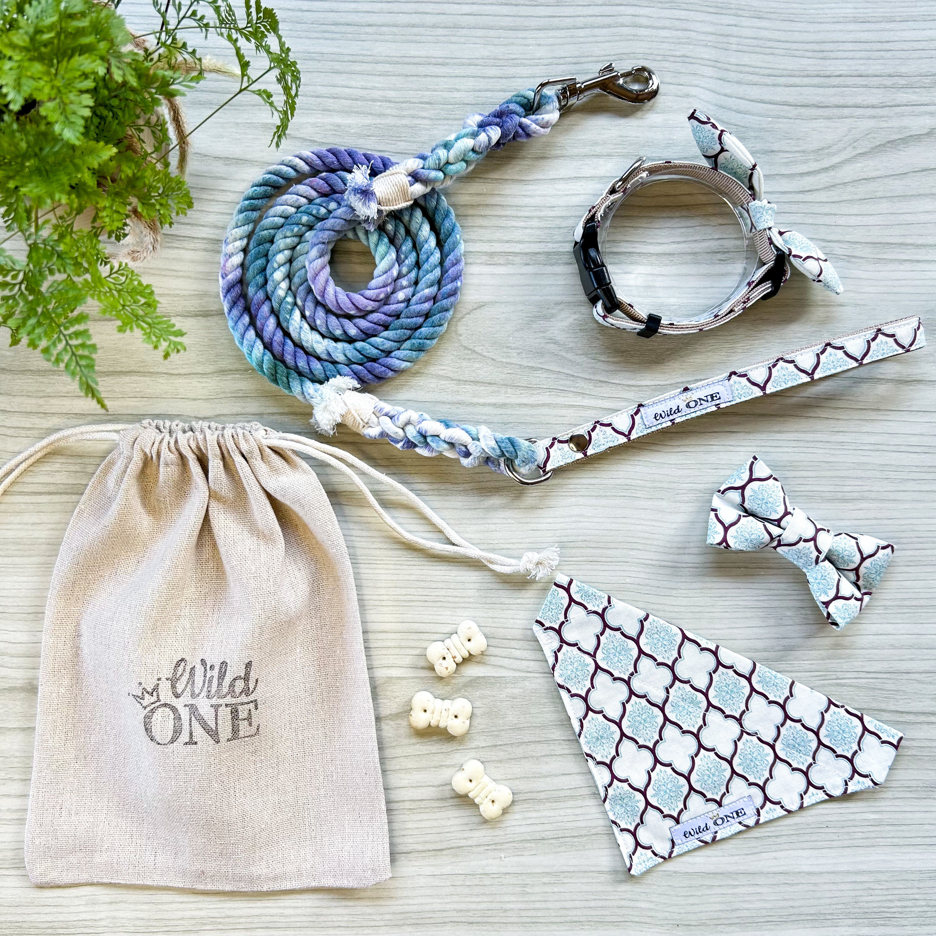 首輪・リード｜お散歩セット