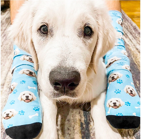 オーダーメイド　靴下　愛犬・愛猫ペット・動物　うさぎ　鳥　ハムスタ-　ペット　インテリア 3枚目の画像