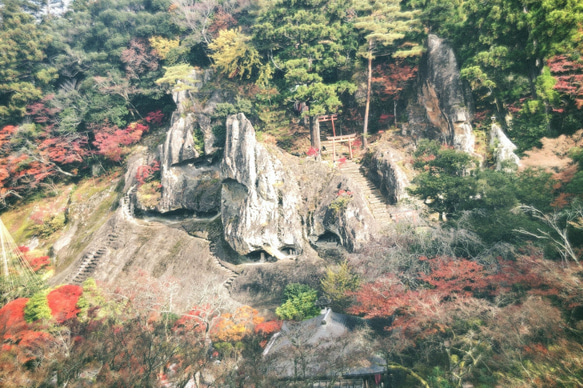 紅葉 1枚目の画像