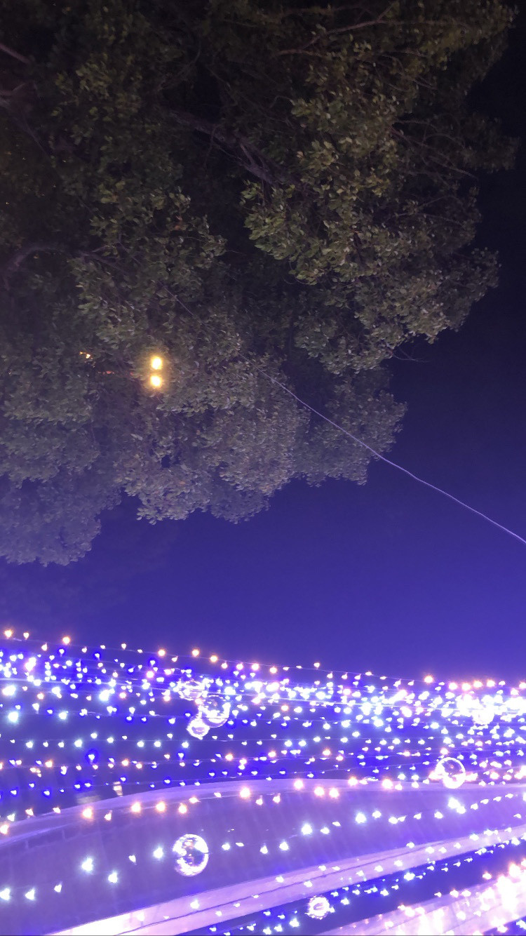 イルミネーション額 イルミネーション ⅱ 写真・グラフィック 月下草 通販 16333018