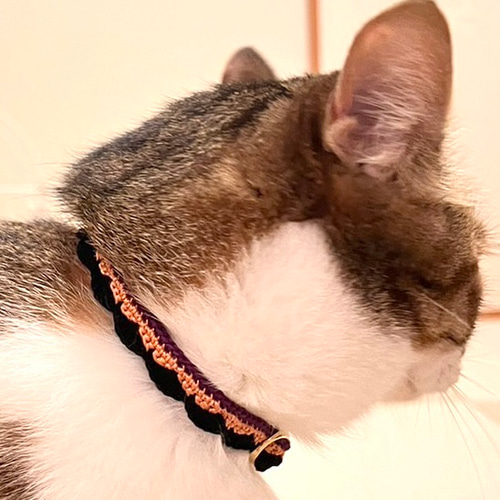 ハロウィンカラー 猫さんにやさしい首輪【かぎ針編み 猫の首輪 猫 首輪 ...