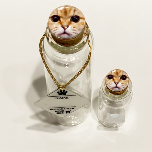 猫瓶レトロ 駄菓子瓶 猫瓶 ネコ瓶2個セット敢えて！【最終価格】 楽天市場】【小角1号PET】【枚単価 120円×60枚】駄菓子 容器