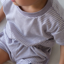 Organic Cotton Border Short Pants 2枚目の画像