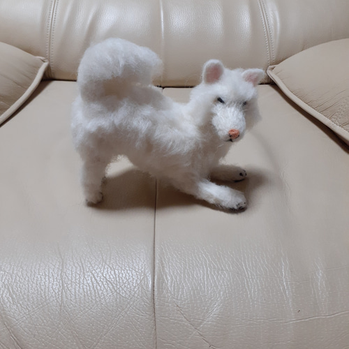 羊毛フェルト ホワイトシベリアンハスキー 羊毛フェルト Kingこうた
