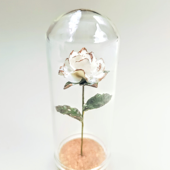 手のひらサイズの白い薔薇のガラスドーム　美女と野獣 1枚目の画像