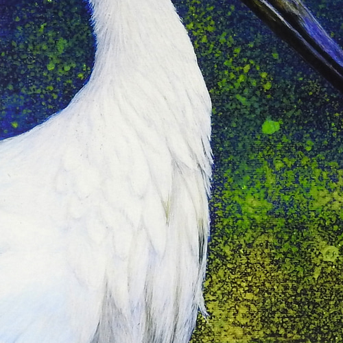 A4アートプリント「鸛（コウノトリ） 」複製画/鳥/ 額無し 版画