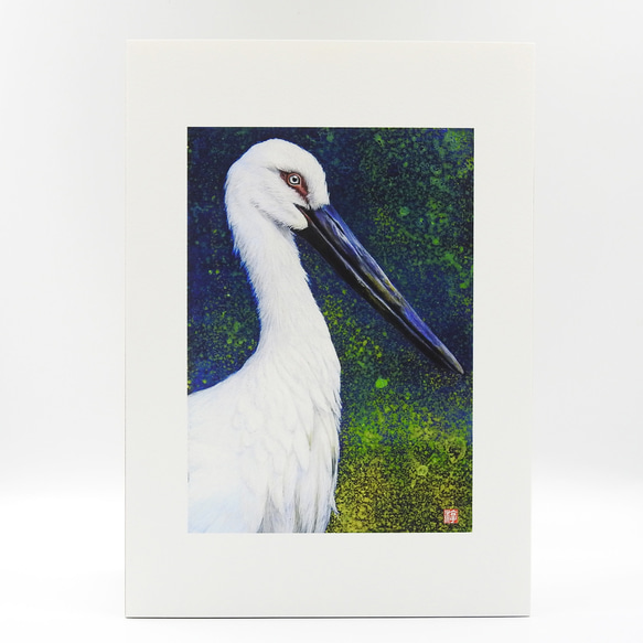 数量限定セール  A4アートプリント「鸛（コウノトリ） 版画 額無し 」複製画/鳥/ その他