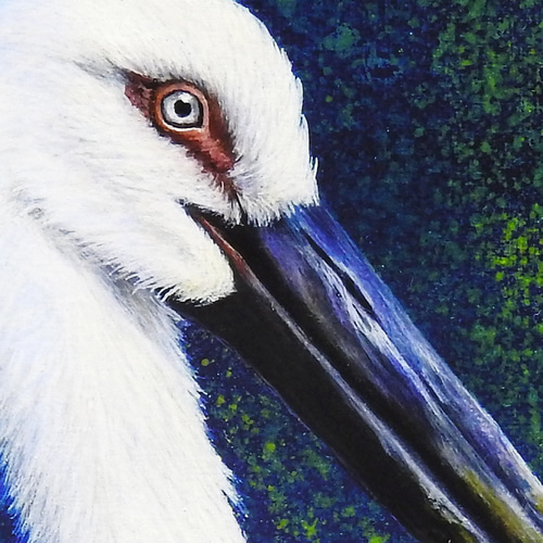 A4アートプリント「鸛（コウノトリ） 」複製画/鳥/ 額無し 版画 おや