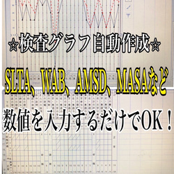 『ST学生から現役セラピストまで役立つ★言語聴覚士の必須USB資料』 6枚目の画像