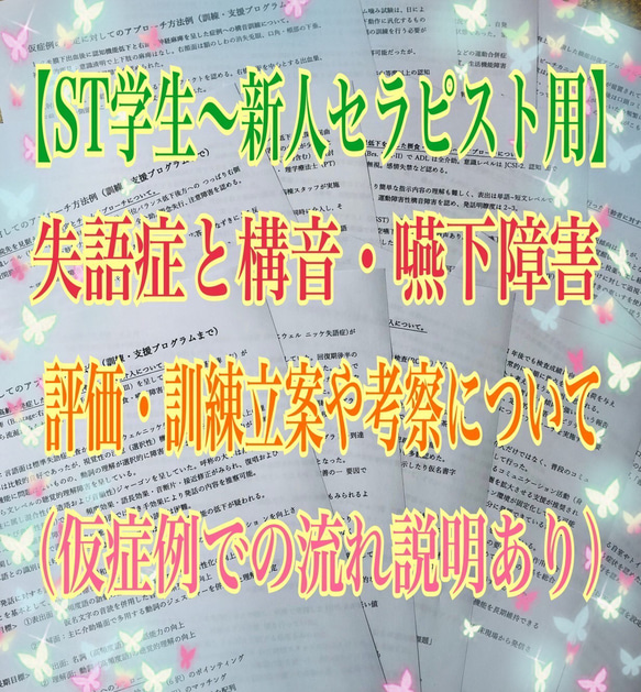 失語症・構音障害・嚥下障害の訓練立案までの流れ（仮症例の記載