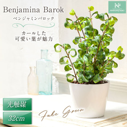 HANAYUKI フェイクグリーン ベンジャミンバロック 卓上サイズ 32cm 光触媒加工 人工観葉植物 1枚目の画像