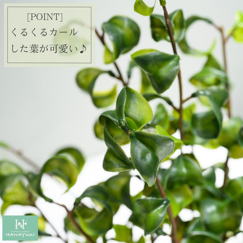 光触媒　人工観葉植物　フェイクグリーン　東北ベンジャミンバロック120 光触媒 人工観葉植物 フェイクグリーン 東北ベンジャミン