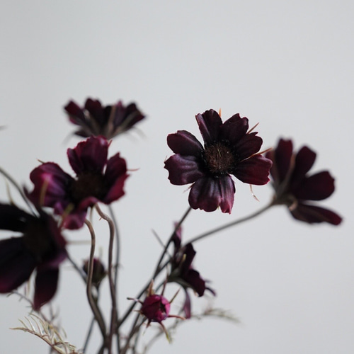 フレンチシックシリーズ❣️新作。野の花アレンジチョコレートコスモスを添えて 42b06d74c5440ae5a8c952980d8c5b