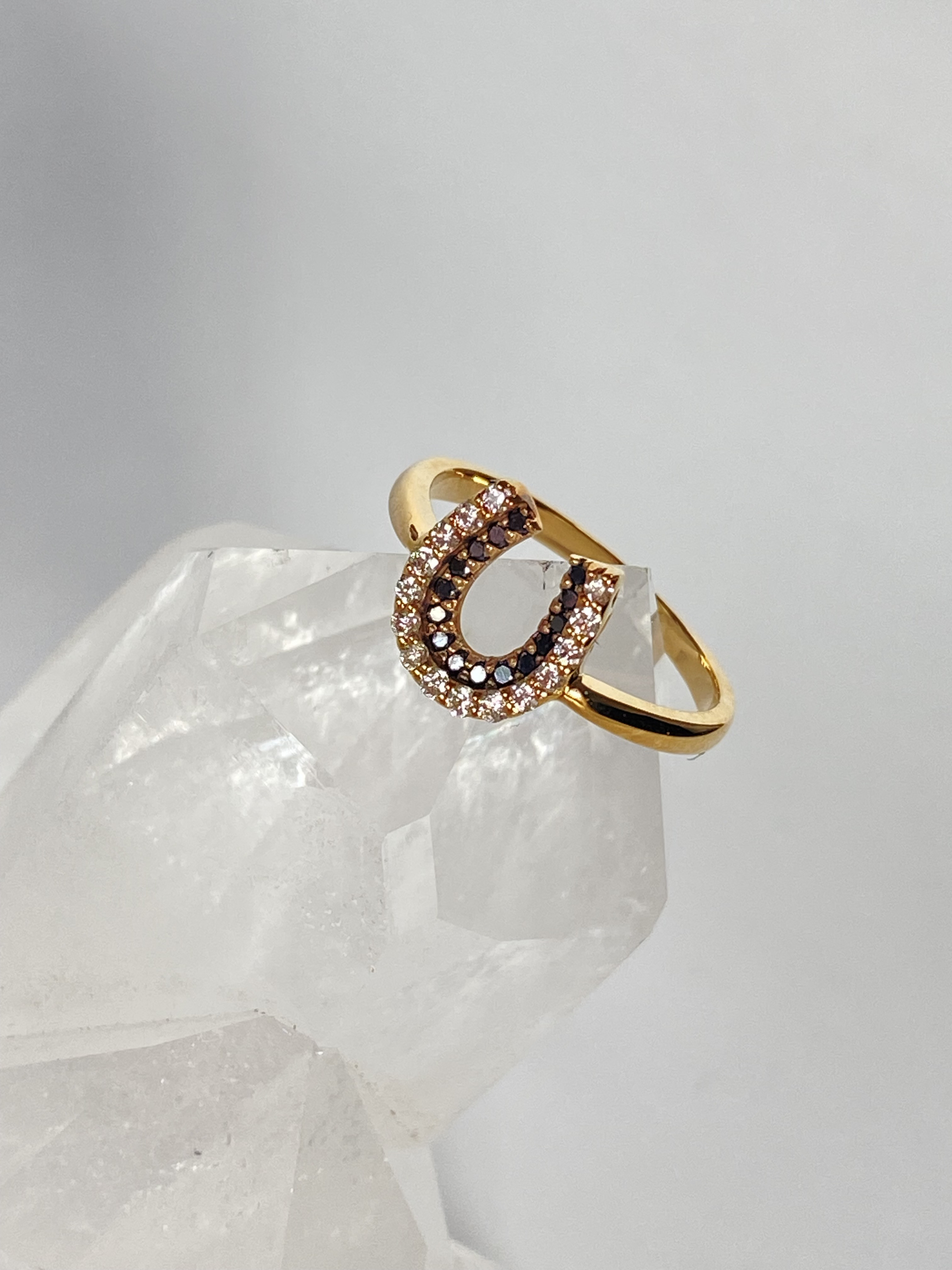 鑑別書付き　幸運のシンボル　10k ダイヤモンド＆ブラックダイヤモンドの馬蹄リング