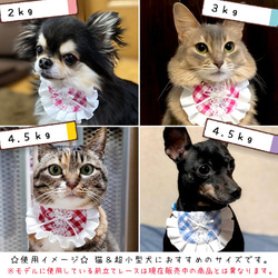 猫＆超小型犬用たっぷりフリルのギンガムチェックスタイ/②サックス n-0160シリーズ 4枚目の画像