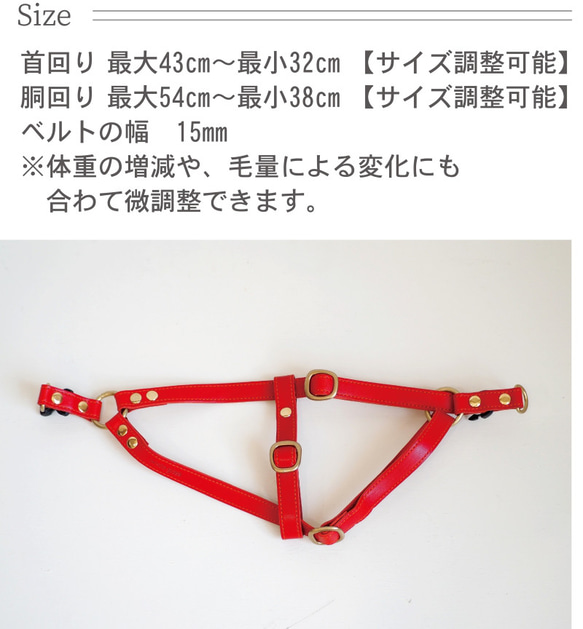 ペット用ハーネス（M）栃木レザー モストロレザー ヌメ　60015 13枚目の画像