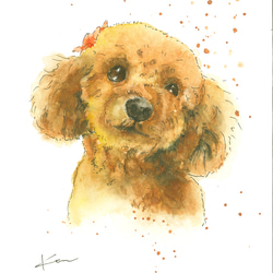 オーダーメイド　サンプル　犬の絵　トイプードル　水彩画 1枚目の画像