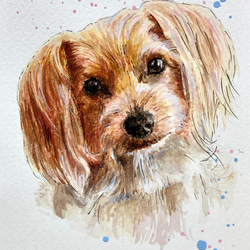 オーダーメイド サンプル 犬の絵 鉛筆画 絵画 ENPITSUYA 通販