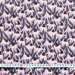 カットクロス Cloud9 Fabrics / Blooming Revelry 227320 Coneflowers 3枚目の画像
