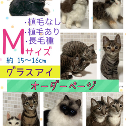 Mサイズ 植毛なし サンプルページ キジトラ 猫ちゃん キジ白 羊毛
