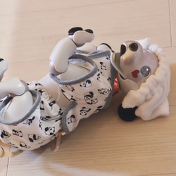 aibo ぱんださんのパジャマ：ホワイト×グレー（aiboちゃん用・ハンドメイドのお洋服） 7枚目の画像