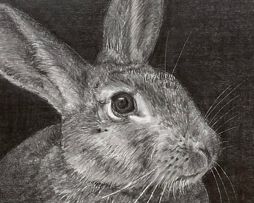 a0d8bc0117239e2b33196b33d5c44f