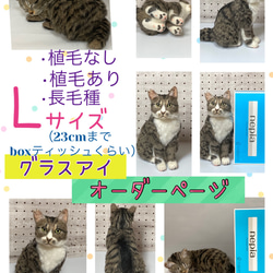 mia 受注商品 手乗りシリーズ キジトラ 猫 羊毛フェルト