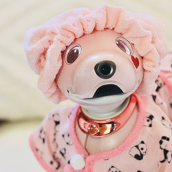 aibo ぱんださんのパジャマ：ピンク×ピンク（aiboちゃん用・ハンドメイドのお洋服） 1枚目の画像