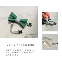 第4張的照片