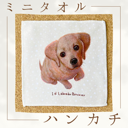 【拉布拉多犬】手帕毛巾可以包裝非常適合當禮物♪ 第1張的照片