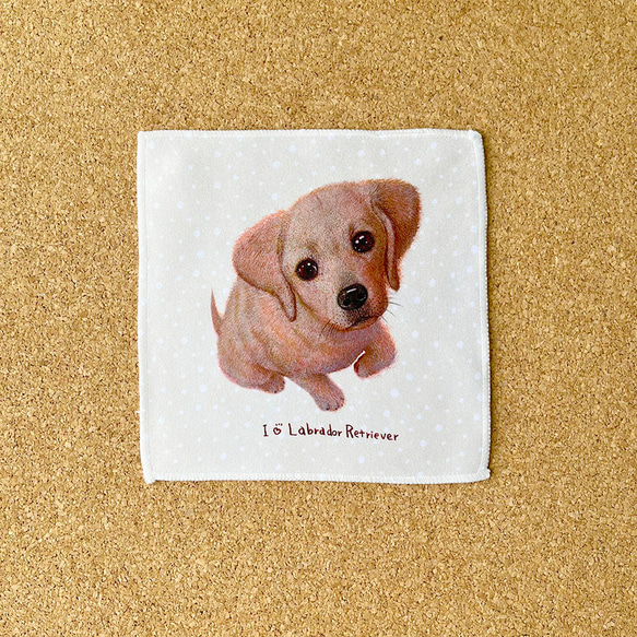 【拉布拉多犬】手帕毛巾可以包裝非常適合當禮物♪ 第2張的照片