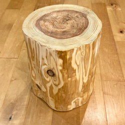 Sugi  Wood  Stool No.344 1枚目の画像