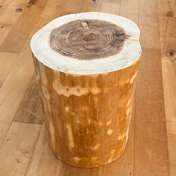 Sugi  Wood  Stool No.347 2枚目の画像