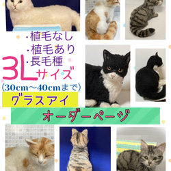サンプルページ Mサイズ植毛なし 茶トラ 猫 羊毛フェルト 展示にサイズ