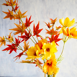 【赤紅葉とイエローコスモス】｜アーティフィシャルフラワー 花瓶アレンジ｜ギフト・インテリア雑貨| 秋 6枚目の画像