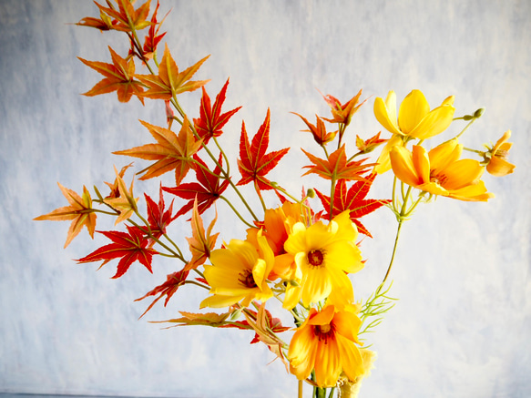 【赤紅葉とイエローコスモス】｜アーティフィシャルフラワー 花瓶アレンジ｜ギフト・インテリア雑貨| 秋 6枚目の画像