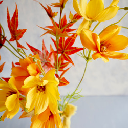 【赤紅葉とイエローコスモス】｜アーティフィシャルフラワー 花瓶アレンジ｜ギフト・インテリア雑貨| 秋 10枚目の画像