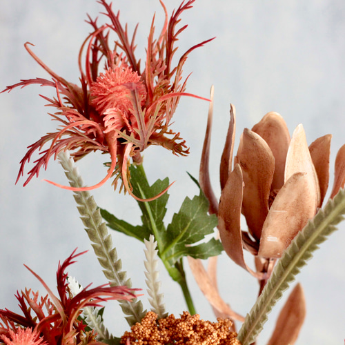 アナベルとルリタマアザミ、エリンジウムのフライングリース　リューカデンドロン アナベルとルリタマアザミ、エリンジウムのフライングリース リューカ