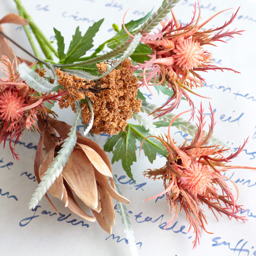 オレンジアザミとリューカデンドロンとドライアンギュラー