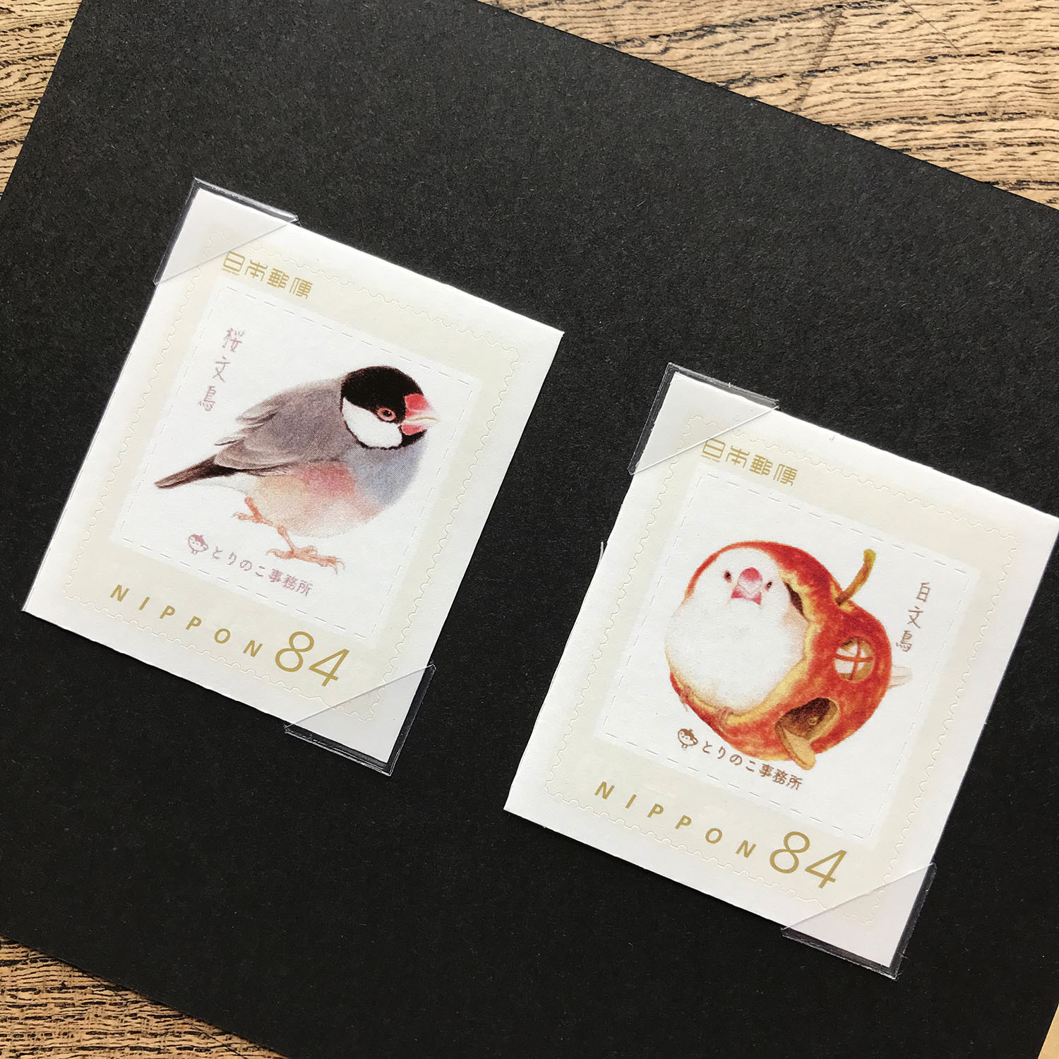 【セット売り】鳥面 春告文鳥 楽天市場】メモ帳 ☆春文鳥2022 ◇ゆうパケット対応◇ 文鳥