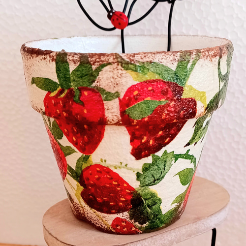イチゴ リメイク鉢&缶バック3点セット 多肉植物 taniku－maruko 通販 