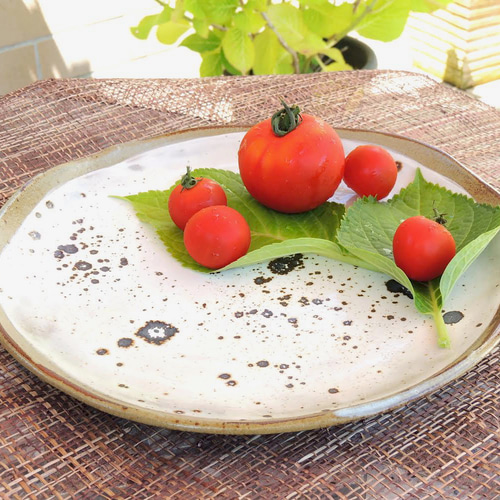 手作り　大皿 大皿プレート「食材を生かすお皿」陶器 板作り 大皿 Chao chao 通販