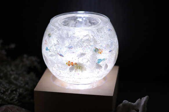 「カクレクマノミたちの水晶の海の世界」キャンドルホルダー&木製LEDコースターセット＊プリザーブドフラワー＊水晶 3枚目の画像