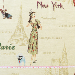 ヨーロッパ輸入　パリ＆ニューヨーク　【ゴブラン織り】 2枚目の画像