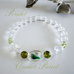 8月誕生石・インコと誕生石ブレスレット・ペリドット・ブラジル産水晶 3枚目の画像